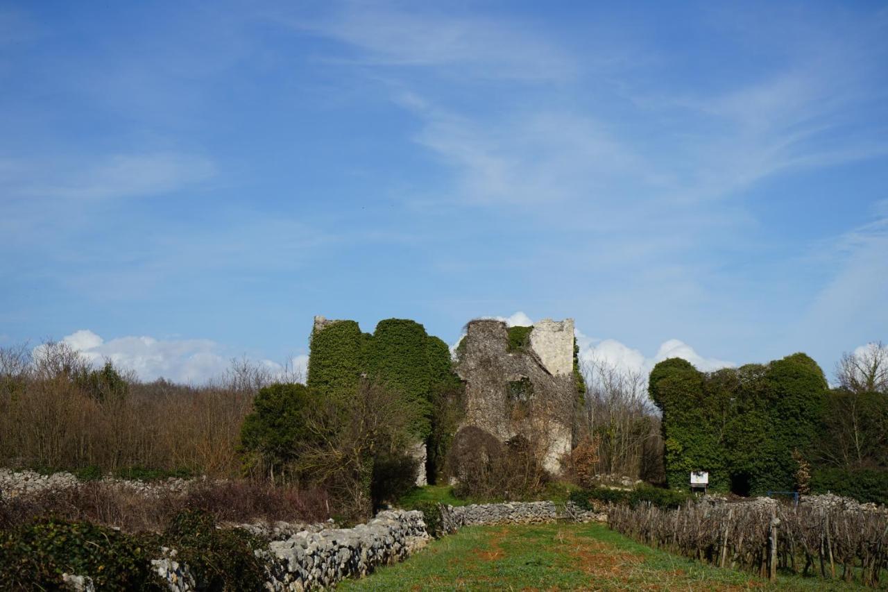 Villa Diny With Pool Pinezići Εξωτερικό φωτογραφία